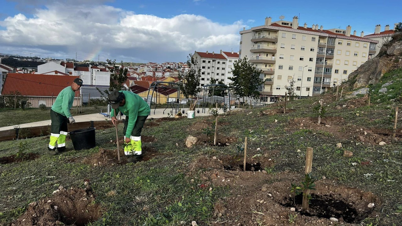 Plantação de 100 árvores no Parque Urbano Oriental