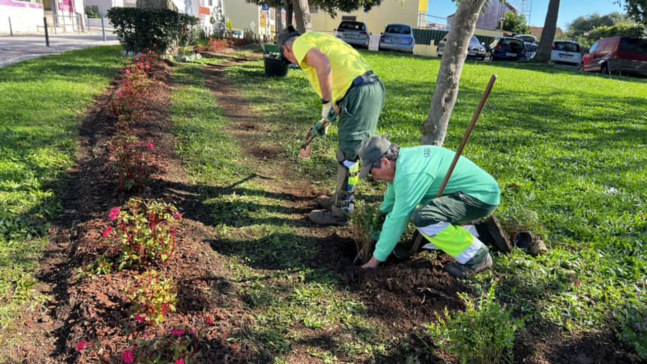 Finalização do Jardim na Avenida do Brasil