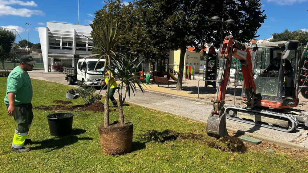 Plantação de oito plantas no Parque Urbano