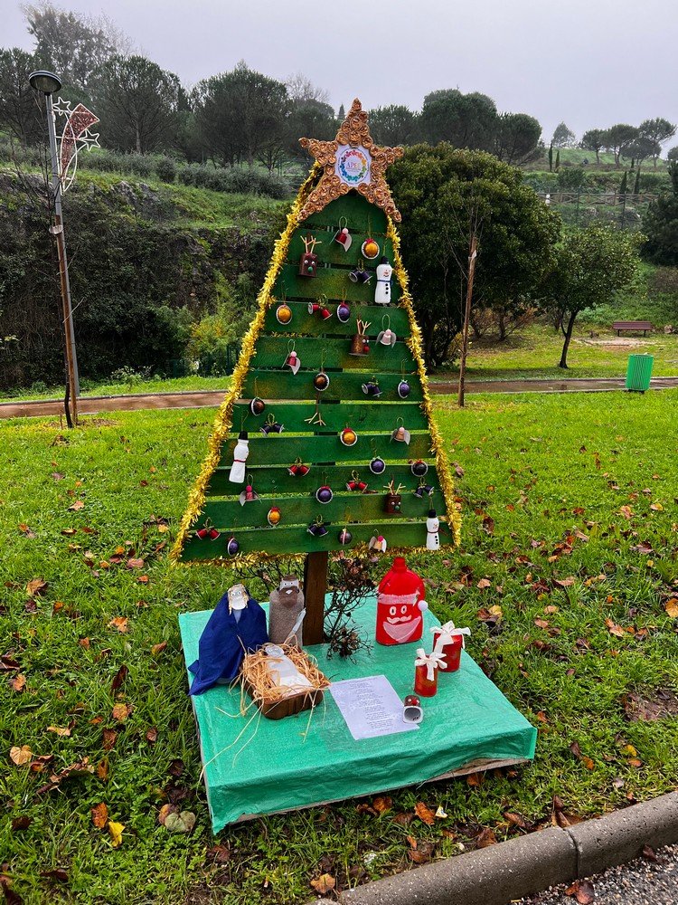 Exposição de Árvores de Natal Solidárias