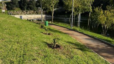 Plantação de 72 árvores no Parque Urbano 25 de Abril